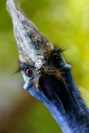 Symbio Wildlife Gardens - Tourism Guide 2