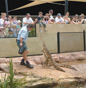 Symbio Wildlife Gardens - Tourism Guide 3