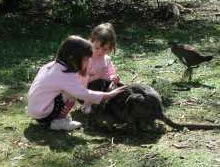 Urimbirra Wildlife Park - Tourism Guide 1