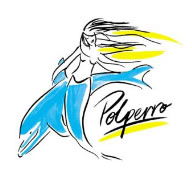 Polperro Dolphin Swims - Tourism Guide 0