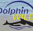 Dolphin Wild - Tourism Guide