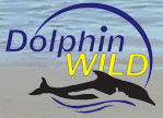 Dolphin Wild - Cruises Travel 0