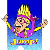 Aerial Skydiving - Tourism Guide 0