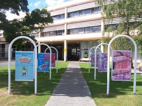 Cadbury Chocolate Factory Tour - Travel Agents 2