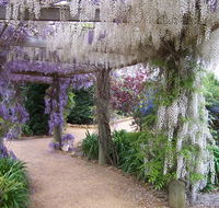 Abingdon Miniature Village - Tourism Guide