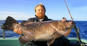 Bravo Fishing Charters - Tourism Guide 0