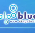 Ningaloo Blue Dive - Tourism Guide