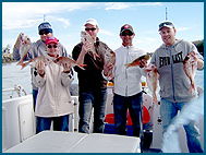 Odyssey Charters - Cruises Travel 2
