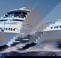 Sunshine Coast Fishing Charters - Tourism Guide