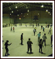Bendigo Ice Stadium - Travel Agents 1