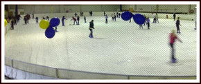 Bendigo Ice Stadium - Travel Agents 2