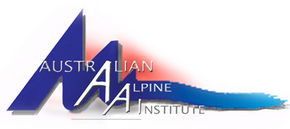 Alpine Institute - Gym & Sports Club - Tourism Guide 0