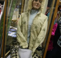 Alpine Museum - Tourism Guide
