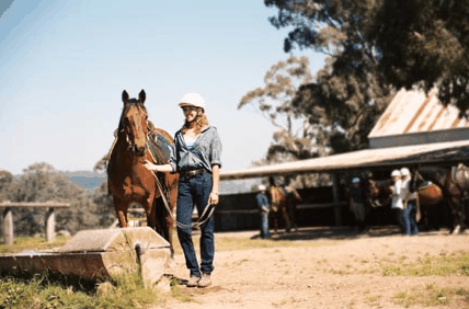 Watsons Trail Rides - Tourism Guide