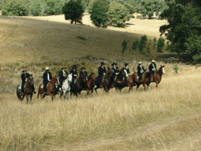 McCormacks Mountain Valley Trail Rides - Tourism Guide