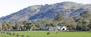 Blue Gum Farm - Tourism Guide 1