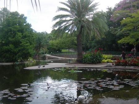 Brisbane City Botanic Gardens - Travel Agents 0