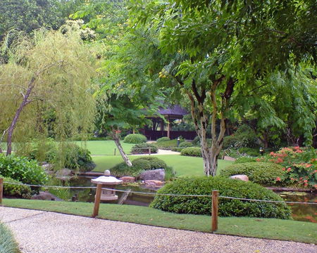 Brisbane City Botanic Gardens - Travel Agents 1