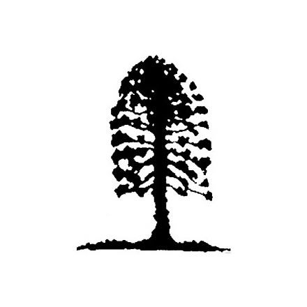 Musgrave Park Cultural Centre - Tourism Guide 2