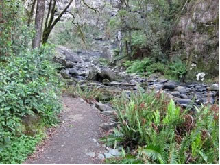 Stevensons Falls - Travel Agents 1