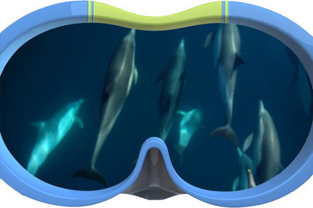 Dolphin Swim Australia - Tourism Guide 3