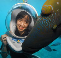 Sunlover Reef Cruises - Tourism Guide