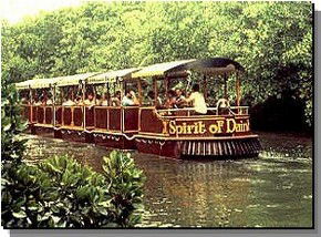 Newell QLD Cruises Travel