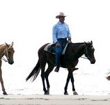 Ride the Beach - Tourism Guide