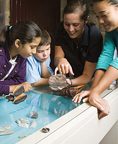 The Rocks Discovery Museum - Tourism Guide 3