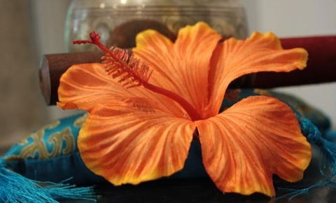 Annasha Day Spa Retreat - Tourism Guide 5