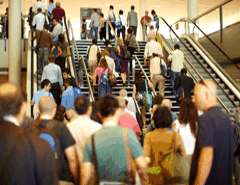 Brisbane Convention & Exhibition Centre - Tourism Guide 5