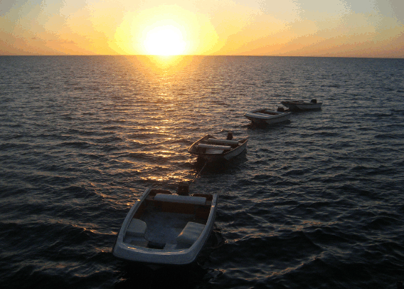 Carlo Fishing Charters - Cruises Travel 2