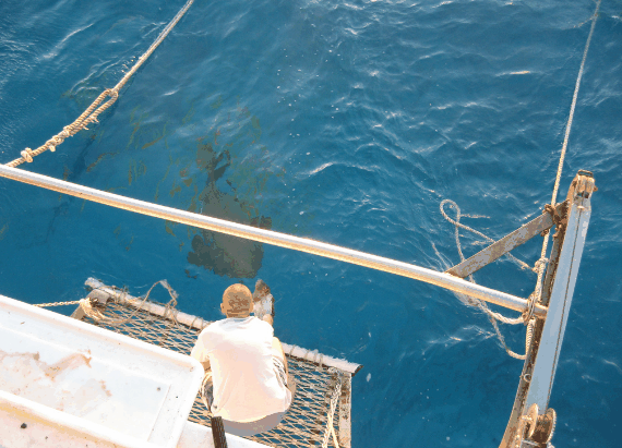 Carlo Fishing Charters - Cruises Travel 4
