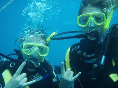 Snorkel Safari Brisbane - Cruises Travel 5