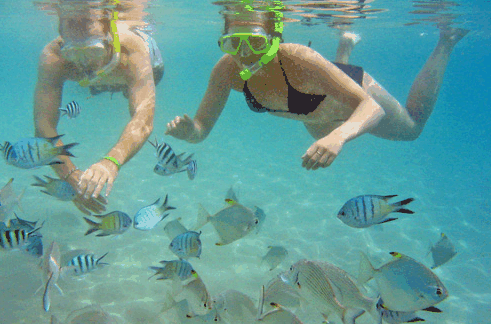 Australian Kayaking Adventures - Tourism Guide 2