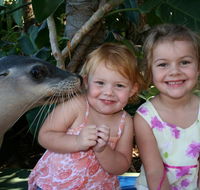 Dolphin Marine Magic - Tourism Guide