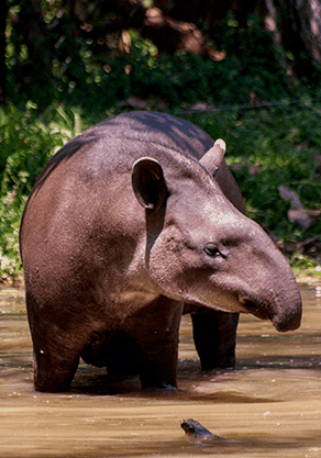Alma Park Zoo - Cruises Travel 4