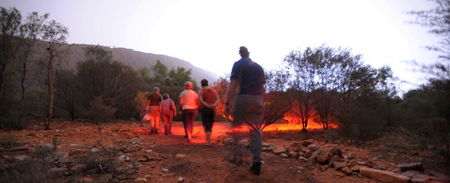 Alice Springs Desert Park - Tourism Guide 4