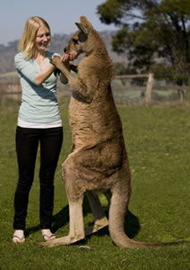 Zoo Doo Wildlife Park - Tourism Guide 5