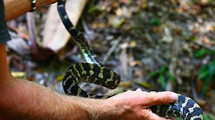 Queensland Day Tours - Tourism Guide 1