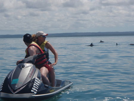 Aquavue Cafe Watersports - Tourism Guide 5