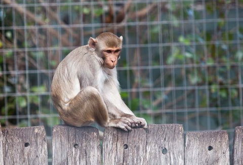 Darling Downs Zoo - Tourism Guide 5