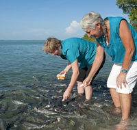 Aquascene Fish Feeding Sanctuary - Tourism Guide