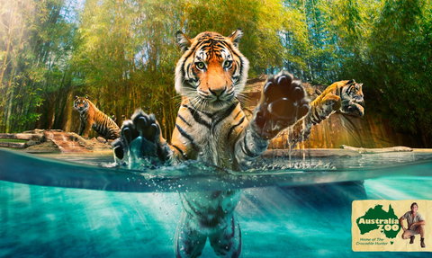 Australia Zoo - Travel Agents 9