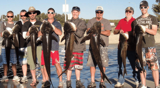 BKs Gold Coast Fishing Charters - Cruises Travel 1