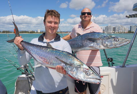 BKs Gold Coast Fishing Charters - Cruises Travel 6