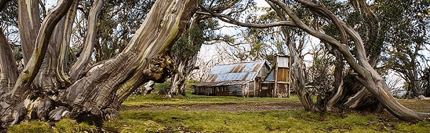 High Country Scenic Tours - Tourism Guide 0