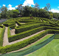 Bellingham Maze - Tourism Guide