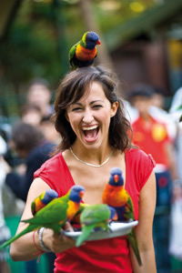 Currumbin Wildlife Sanctuary - Tourism Guide 10