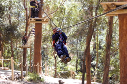 Currumbin Wildlife Sanctuary - Tourism Guide 11
